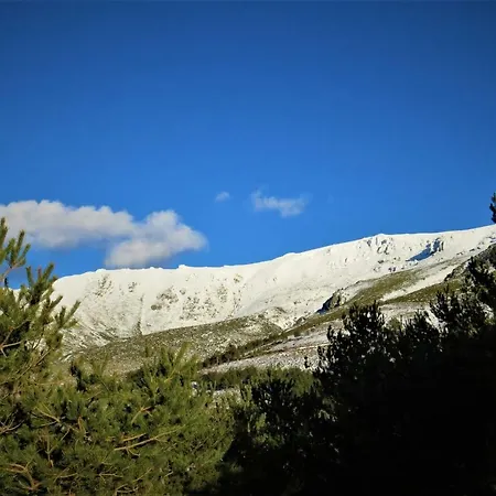 Apartment Orgaz *